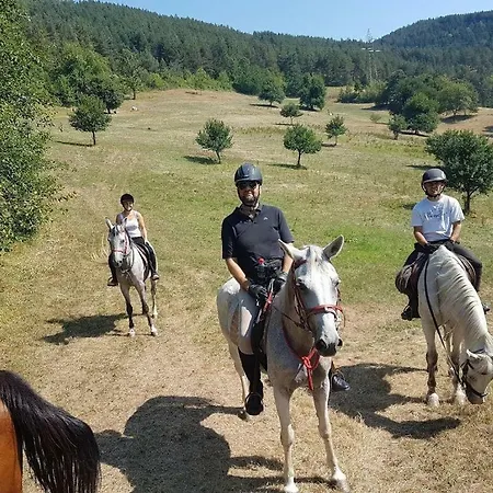 Urlaub Mit Abenteuer